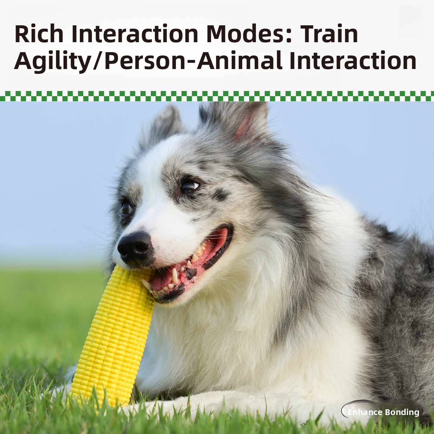 QZee Durable ETPU Corn Dog Toy – Corn Dog Stick recenzja i cena