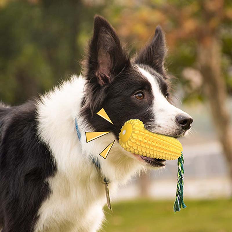Hot Selling Large Size Corn Sh – Corn Dog Stick recenzja i cena